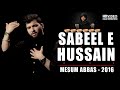 SABEEL E HUSSAIN  Mesum Abbas 2016 (VIDEO)