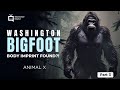 Part 3 Bigfoot Hunt Skookum - Animal X Classic