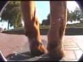 Perro Skater Perro Skater
