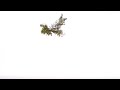 VIDEO, LETRA Y TRADUCCION VIDEO, LETRA Y TRADUCCION