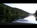 labbies playing at the lake
