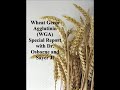 Wheat Germ Agglutinin - The Dark Side of Wheat Interview with Dr. Osborne & Sayer Ji.mp4