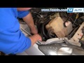 How To Install Replace Engine Serpentine Belt Ford Focus Zetec DOHC 1AAuto.com