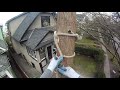 How to rig sections of trunk onto itself | Arborist Rigging techniques