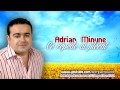 Adrian Minune - Ce repede ai plecat