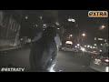 Arrest Video! Reese Witherspoon on Dash Cam