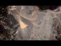 MTB Downhill Quarry Bombing - Four by Three