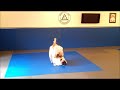 Free Fight Simulation, Gracie Combatives Test