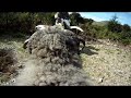 Angry ram vs rider - He's back & angrier than ever - RAMCAM edition -
