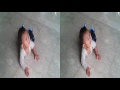 3D SBS Funny Baby on the floor