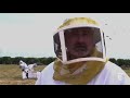 A Disastrous Year for Bees: 'We Can't Keep Them Alive'