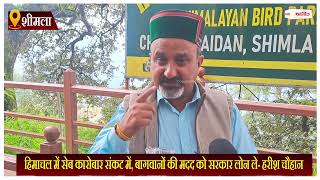 हिमाचल में सेब कारोबार संकट में, बागवानों की मदद को सरकार लोन ले- हरीश चौहान