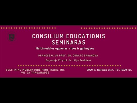 „Consilium educationis“ seminaras „Multimodalus ugdymas: ribos ir galimybės“