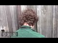 Beat Keeping in a California Sea Lion (Ronan)