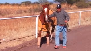 Carreras de caballos en Arroyo Seco de Arriba (Tepetongo, Zacatecas)