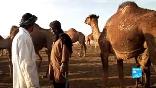 news et reportageAlgérie : Biskra, aux portes du désert - #TourMaghreb en replay vidéo