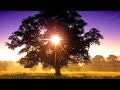 Instrumentale Opwekking met prachtige HD natuurbeelden, deel 2. (instrumental worship songs)
