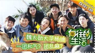 《向往的生活》第10期20170319: 李冰冰何炅乡村尬舞活力十足 冰球大战黄磊现“超强大脑” Happy Life EP.10【湖南卫视官方频道】