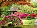 Japanese Gardens and Japanese Music