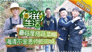 《向往的生活》第5期 何炅黄磊首度分歧引争吵？刘宪华“吓坏”求救海清！Back to field S1 EP5【芒果TV生活风尚频道】