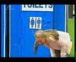 Funny Youtube Videos List | Funny Video Compilation: Toilet Prank