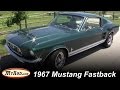 1967 Mustang Fastback!
