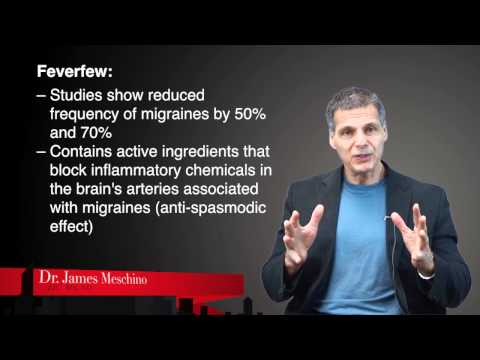 Nutrition Research Update: Migraine Headaches