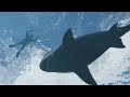 GTA 5 - Vorschau / Preview zum potentiellen Megahit Grand Theft Auto 5