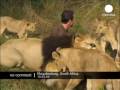 Hugs with Lions