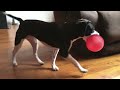 iPhone 5s: Slo-Mo Camera Test