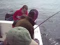 Swiftsure Bank Halibut Fishing