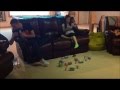 Type 1 Diabetes project by braden and emily