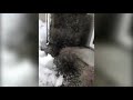 Raw: Ice Wave Comes Ashore in Minnesota