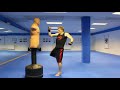 Taekwondo Kickboxing Techniques Sampler on the BOB XL