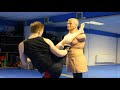 Taekwondo Kickboxing Techniques Sampler on the BOB XL