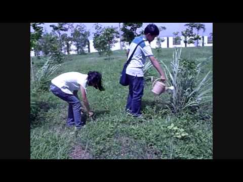 Padyak Para Sa Kabuhayan Kalikasan At Kalusugan 2008 Part1 - VidoEmo