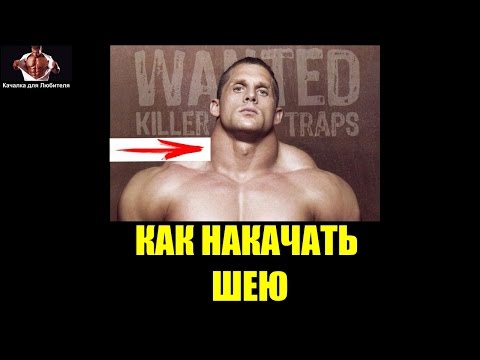 Как качают шею в домашних условиях Как качают шею в домашних условиях