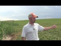 Residue, Weed Control For Dryland No-Till