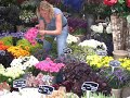 Herman Emmink - Tulpen uit Amsterdam (origineel)