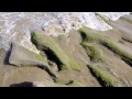 South African beaches: Kleinbrak River, Hartenbos, Mossel Bay (The Western Cape)