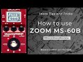 ZOOM MS-60B Tips and Tricks  #bacotbassreview