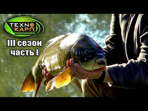 ловля карпа весной на прудах снасти ловля карпа весной на прудах снасти