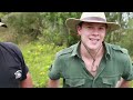 Alligator Baiter