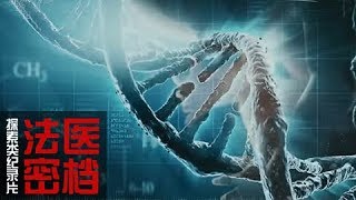 《法医密档》 第五集 无声的证人 | CCTV纪录