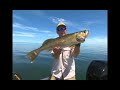 Rapala Three-Way Rigging for Walleye