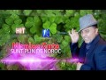 Nicolae Guta - Sunt plin de noroc (Manele Gratis) 2014