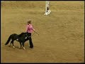 2009 American Miniature Horse Champ Youth Jumper - 2