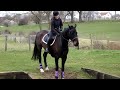This is why he isnt an event horse..