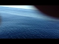18+ Ft Great White Shark Stalks Boat on video (part 1)