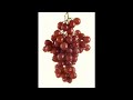 Fruit of the Spirit